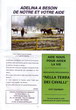 Cliquez pour agrandir - brochure  Nella Terra Dei Cavalli